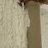 How To Spot Subterranean Termites In South Florida Before It S To Late