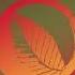 DJ Spinna Phonte Tonight We Ride Louie Vega Remix FOLIAGE RECORDS Soulful House