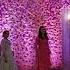 Bride Friend Dance Performance Laung Laachi And Jaani Tere Na Choreography BASH STUDIO