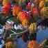 Guitar Love Songs GUITAR MUSIC BEAUTIFUL Musicainstrumental Guitarmusic Instrumentalmusic