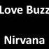 Love Buzz By Nirvana With Lyrics