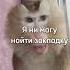 Даня Данечка Даня я не могу найти закладку с мефедроном