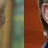 What We Know About Trump S 2 Hour Phone Call With Putin
