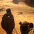 Islamic History Miracles Part III Darakht Ka Mojza Trending Viral Islam