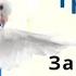 8 июня Троица О чём открытому небу на Троицу помолишься то сбудется
