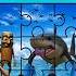 Guess The Correct Puzzle Tralalero Tralala Shark Meme Meme Tralalero Trending