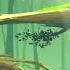 Shadow Fight 2 Forest Of Death