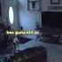 Dog Slams Into Wall Funny Voiceover Dog Source Vid From Bihema Via Reddit