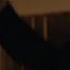 Matt Murdock Vs Cops Fight Daredevil Born Again