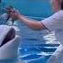 Smart Dolphin Double Tap If You Love This Video Short Part 9