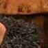 Семейка Крудс 2013 The Croods трейлер