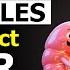 Top 5 Must Eat VEGETABLES To Help Lower CREATININE Naturally Don T Miss These Senior Health Tips