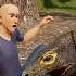 How To Survive A Komodo Dragon Attack