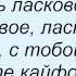 Слова песни Мистер Кредо Кайфовать