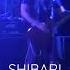 SHIBARI Tokyo Trip Live Last Summer Band Poppunk Live Music Tokyo Trending Rock