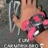 BEN 10 ACHANDO O CARNITRIX COM O CHAQUETRIX Omnitrix Ben10 Carnitrix Chaquetrix