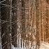 Adrian Von Ziegler Winter Breath HD 1080p
