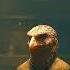 Humans Don T Like Bullies And The Galaxy Just Found Out Best HFY Stories