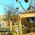 Create An Innovative And Amazing Bird Trap Goldfinch Trap Shorts