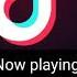 I Love Poland Tik Tok Remix