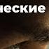 Страхи Тревоги Панические атаки