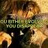 Feeling Stuck This Wild Animal Instinct Will Wake You Up Mindset Wildlife Documentary Animals