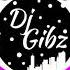 Dj Gibz Techno Anthem 11 20 Nonstop Disco Party Mix Nonstop