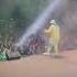 Baby Bash Performing Cyclone April 22 In San Diego