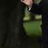 PBS News Weekly House Passes Trump S Budget Plan What Now May 23 2025