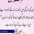 Beautiful Quote By Hazrat Ali Reminder In Difficult Times Islamic Short