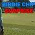 Surprise Birdie Chip Par 3 Palmer Orchard Shorts Satisfying Asmr Golf