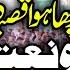 Bahoo Sultan Ka Likha Hua Qasida Zakir Ghulam Abbas Faridka New Majlis 2023