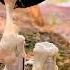 Syringe HACK Saves You TONS Of Water And Soap