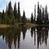 Small Pond On Naches Peak Trail Loop