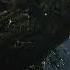 Black Myth Wukong Water Wood Beast Pt 102