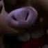 Wallace Gromit The Curse Of The Were Rabbit Hutch And The Anti Pesto System
