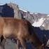 What Are Tundras National Geographic
