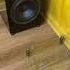 Bowers DB1D Subwoofer Test And Vibration Test Very Clean Bass And Zero Cabinet Vibration