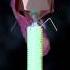Bacteriophage T4 Virus 3D Animation