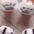 Lovely Winter Cat Claw Socks