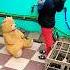 Kummese Pathaan Trending Youtube Viral Youtubeshorts Shortfeed Funnyvideosh Hunn Shorts Dance