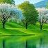 Blossom Reflection Relaxing Music For Stress Anxiety And Depression Calming Music For Nerves