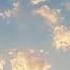 Candy Cotton Skies Shorts