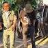 Pasirino Raoma Tinunurei Mwari Willoman Shumba And Voice Of Thunder