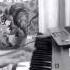 Ask I Memnu Nihal Theme Piano