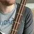 Two String Bass From A Guitar Player S Perspective