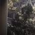 Bay Area S Iranian Community Reacts To U S Bombing Of Iran