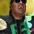 Stevie Wonder All I Do White Label Remix