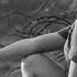 Sting Desert Rose RILTIM Remix