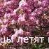 Афанасий Фет Весенние мысли